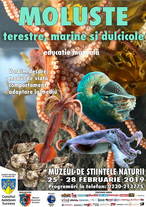 Moluște- marine, terestre și dulcicole, din România și străinătate, la Muzeul de Științele Naturii
