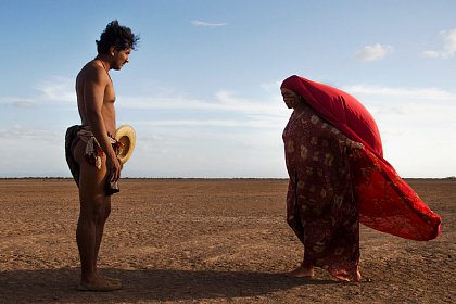 Birds of Passage