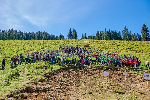 Peste 200.000 de puieți de molid, fag, paltin și stejar vor fi plantați în primăvară prin  Proiectul Pădurea de Mâine