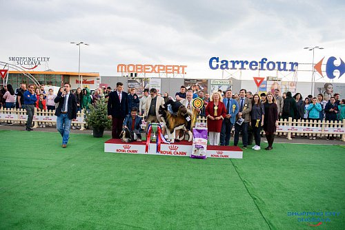 Bucovina Dog Show 2019 - o nouă ediție de succes, cu  sute de câini de rasă, din ţară şi de peste hotare