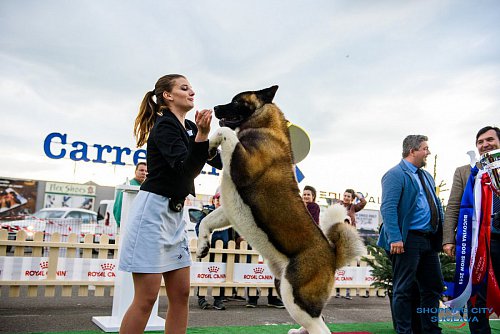 Bucovina Dog Show 2019 - o nouă ediție de succes, cu  sute de câini de rasă, din ţară şi de peste hotare