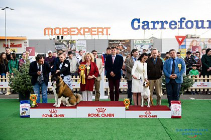 Bucovina Dog Show 2019 - o nouă ediție de succes, cu  sute de câini de rasă, din ţară şi de peste hotare