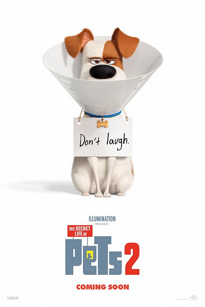 The Secret Life of Pets 2