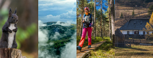 Ţara Dornelor, a cincea destinaţie de ecoturism din România recunoscută oficial