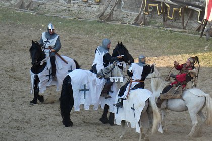 Record de participanți la cea de-a  XIII-a ediție a  Festivalului de artă medievală Ștefan cel Mare Suceava