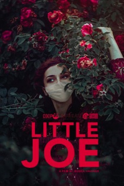 Little Joe