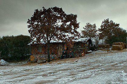 Making of The Wild Pear Tree