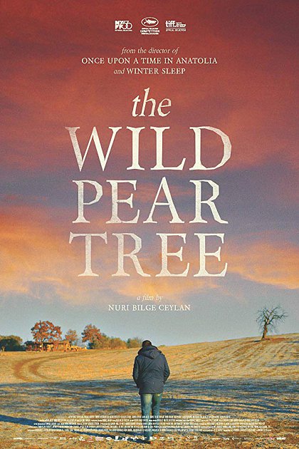 Making of The Wild Pear Tree