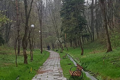 Primarul Sucevei a obținut de la RNP Romsilva avizul pentru transferul Parcului Șipote și a Păduricii Zamca