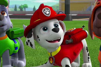 Paw Patrol: Ready Race Rescue