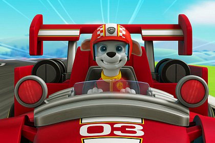 Paw Patrol: Ready Race Rescue