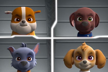 Paw Patrol: Ready Race Rescue