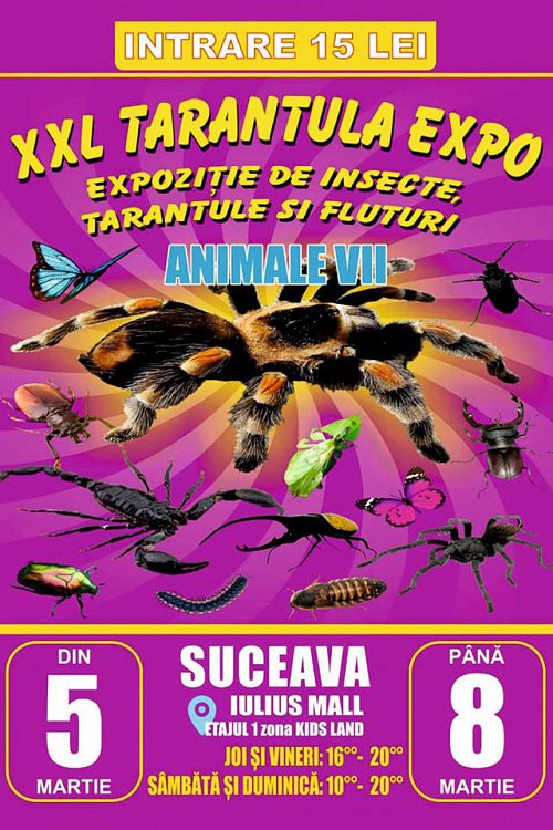 Cea mai mare expoziție de fluturi, tarantule și insecte, la Iulius Mall