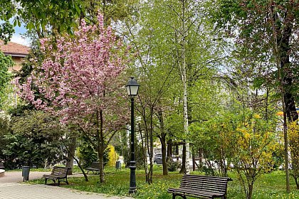 1 MAI diferit: “MAI stăm acasă, MAI avem puțină răbdare pentru noi și pentru cei dragi!” (Galerie foto)