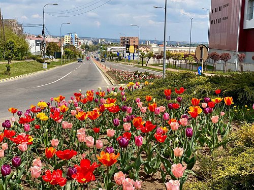 1 MAI diferit: “MAI stăm acasă, MAI avem puțină răbdare pentru noi și pentru cei dragi!” (Galerie foto)