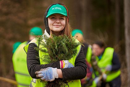 Peste 600.000 puieți de arbori plantați prin programul de reîmpădurire Pădurea de Mâine