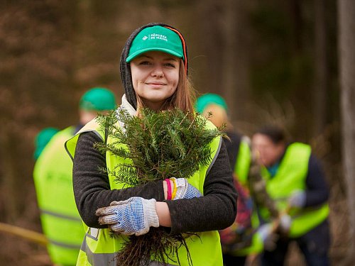 Peste 600.000 puieți de arbori plantați prin programul de reîmpădurire Pădurea de Mâine