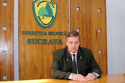 7 milioane de puieți de arbori plantați în campania de împăduriri de primăvară în județul Suceava