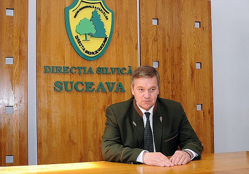 7 milioane de puieți de arbori plantați în campania de împăduriri de primăvară în județul Suceava
