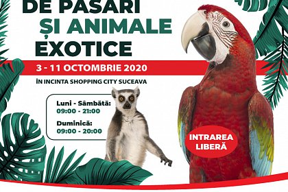 Specii unice de păsări și animale exotice, expuse în perioada  3 – 11 octombrie