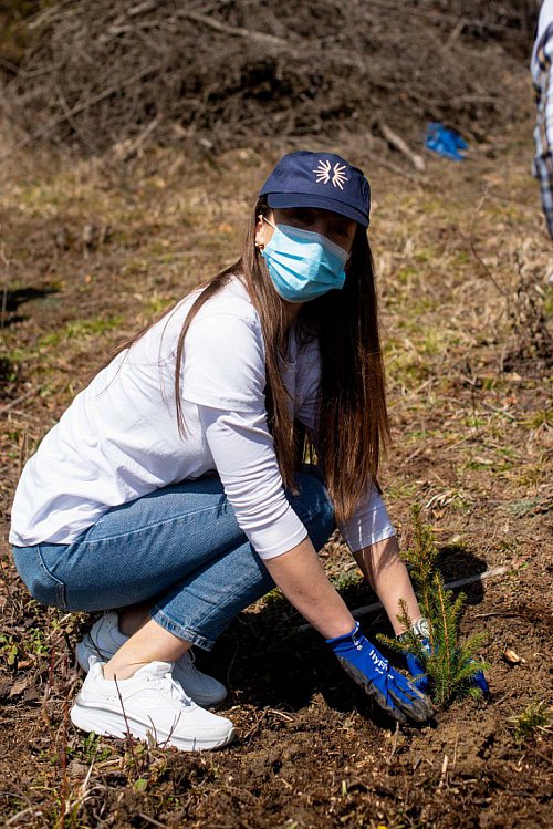 3.500 de copaci pentru un viitor cu aer mai curat în județele Suceava și Iași, plantați de angajații Iulius