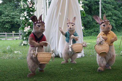 Peter Rabbit: The Runaway