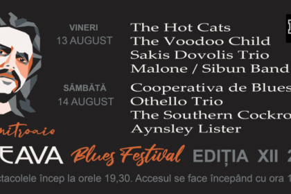 Acces gratuit la Suceava Blues Festival, în perioada 13 -14 august, pe Platoul Cetății de Scaun