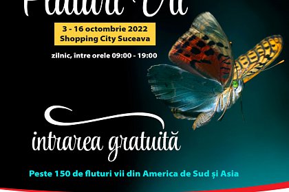 Expoziție cu peste 150 de fluturi vii din America de Sud și din Asia