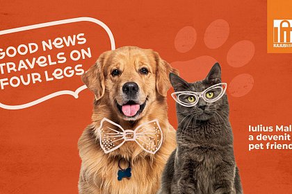 Iulius Mall Suceava a devenit „pet friendly” - accesul cățeilor și pisicilor este permis