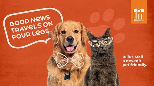 Iulius Mall Suceava a devenit „pet friendly” - accesul cățeilor și pisicilor este permis