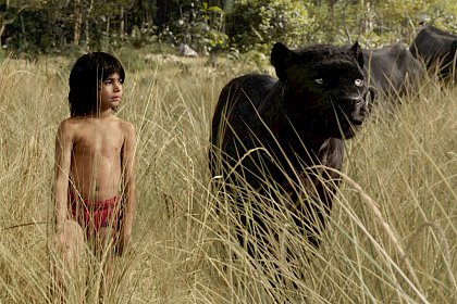 The Jungle Book