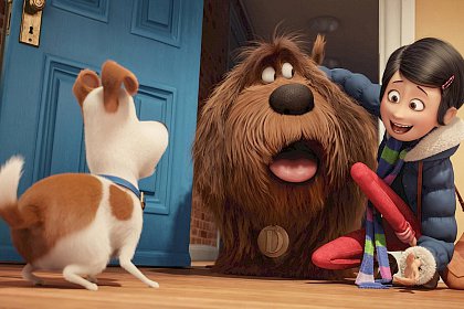 The Secret Life of Pets