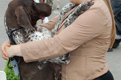 Concurenti de la editiile anterioare ale Bucovina Dog Show, in parcarea SCS