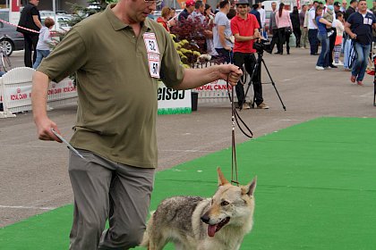 Concurenti de la editiile anterioare ale Bucovina Dog Show, in parcarea SCS