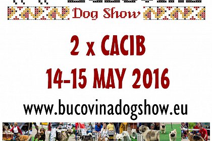 Două expoziții chinologice internaționale "Bucovina Dog Show" vor avea loc în parcarea centrului comercial Shopping City Suceava - BUCOVINA DOG SHOW 2016
