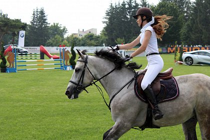 Spectacol ecvestru: cai de rasă, sărituri la obstacole şi atelaje trase de cai, la Rădăuţi