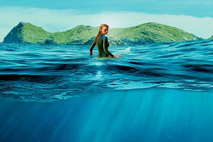 The Shallows