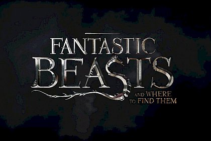 Fantastic Beasts and Where to Find Them