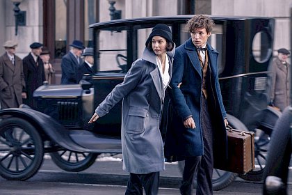 Fantastic Beasts and Where to Find Them