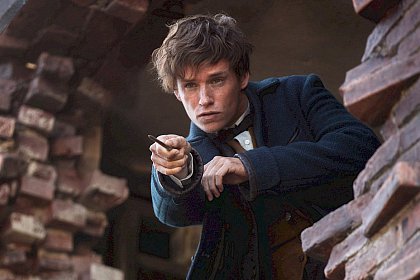 Fantastic Beasts and Where to Find Them