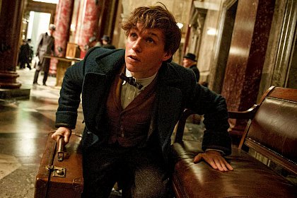 Fantastic Beasts and Where to Find Them