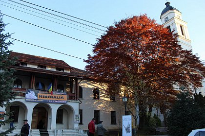 Muzeul de Ştiinţele Naturii Suceava