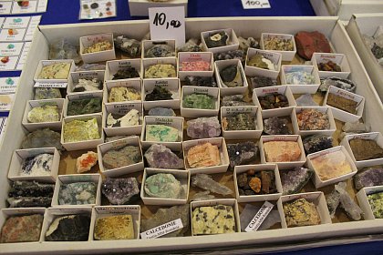 Mineralia – ediția de toamnă, la Muzeul de Ştiinţele Naturii