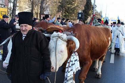 Festivalul internaţional de datini şi obiceiuri de iarnă „După datina străbună”