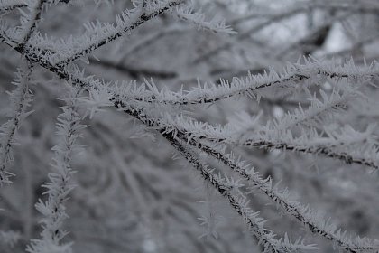 Suceava de gheață - Fotogalerie