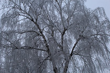 Suceava de gheață - Fotogalerie