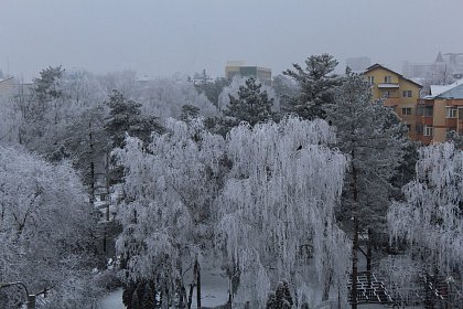 Suceava de gheață - Fotogalerie