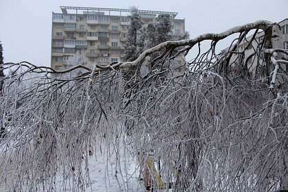 Suceava de gheață - Fotogalerie