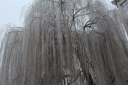 Suceava de gheață - Fotogalerie