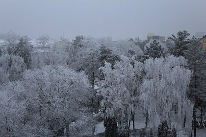 Suceava de gheață - Fotogalerie